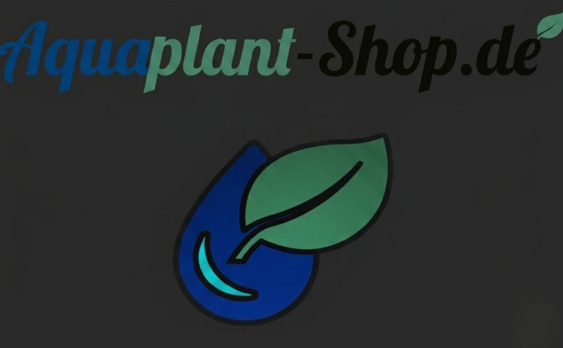 AquaPlant